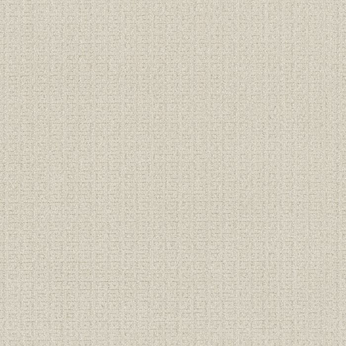 Anderson Tuftex Vignette Stucco Carpet - ZZ330-00120