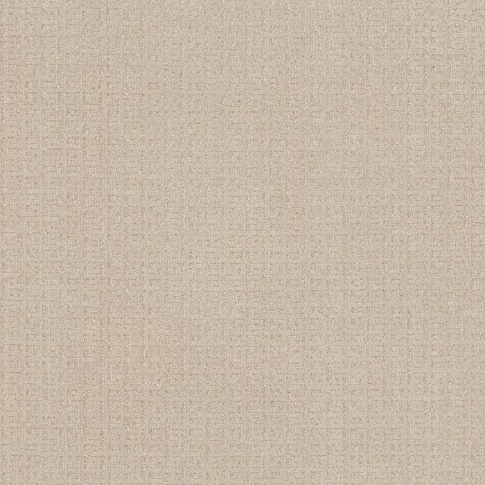 Anderson Tuftex Vignette Whitewash Carpet - ZZ330-00121