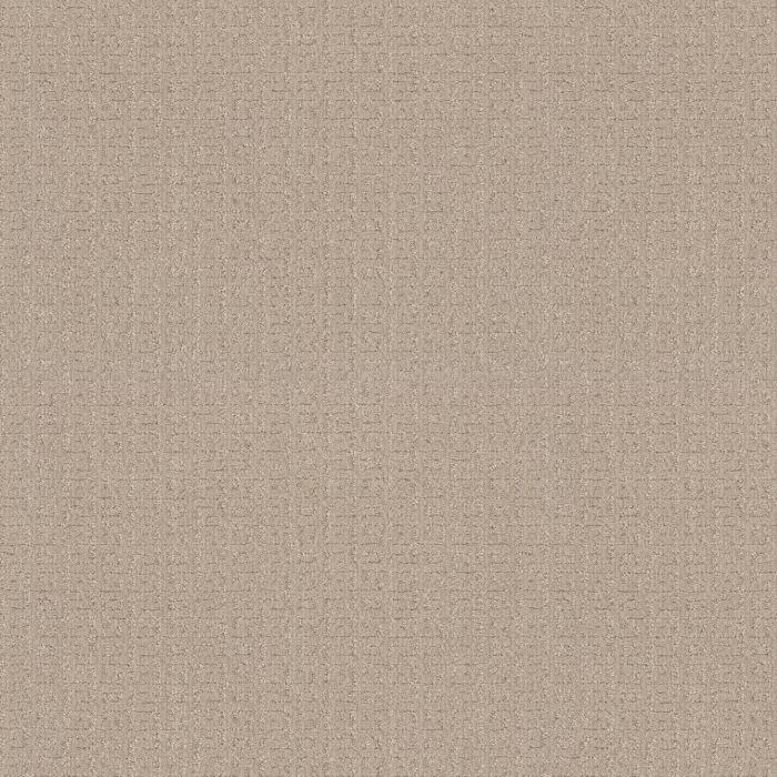 Anderson Tuftex Vignette Spanish Sand Carpet - ZZ330-00122