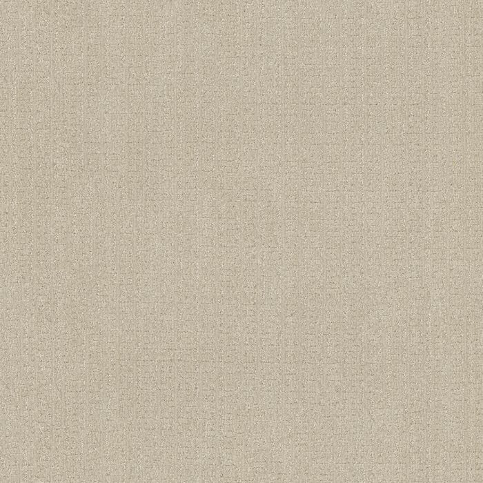 Anderson Tuftex Vignette Irish Cream Carpet - ZZ330-00129