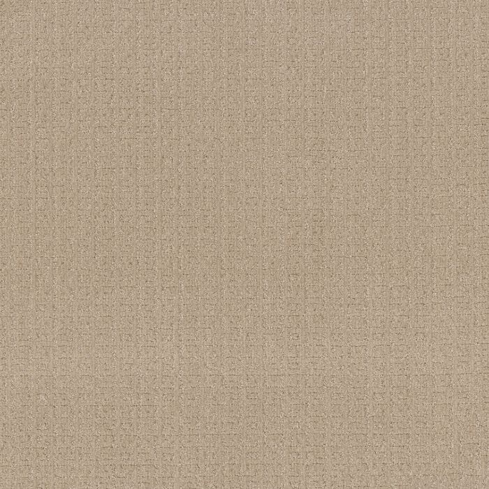 Anderson Tuftex Vignette Loft Light Carpet - ZZ330-00130