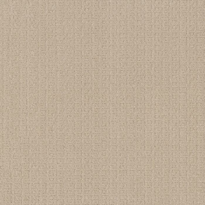 Anderson Tuftex Vignette Cottage Carpet - ZZ330-00140