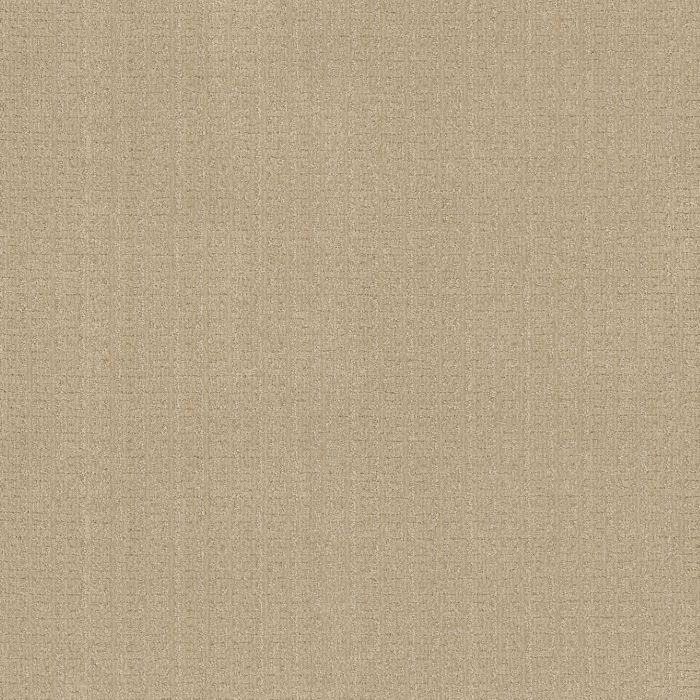 Anderson Tuftex Vignette Champagne Carpet - ZZ330-00141
