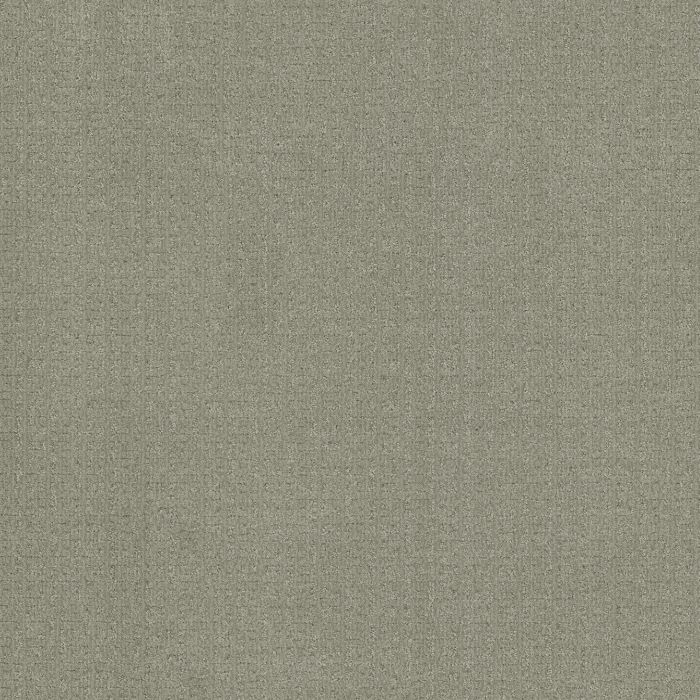 Anderson Tuftex Vignette Mint Leaf Carpet - ZZ330-00341
