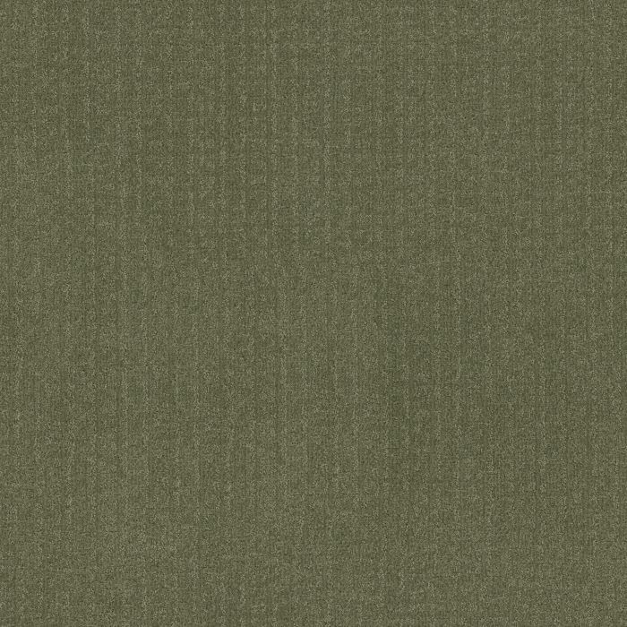 Anderson Tuftex Vignette Fern Carpet - ZZ330-00344