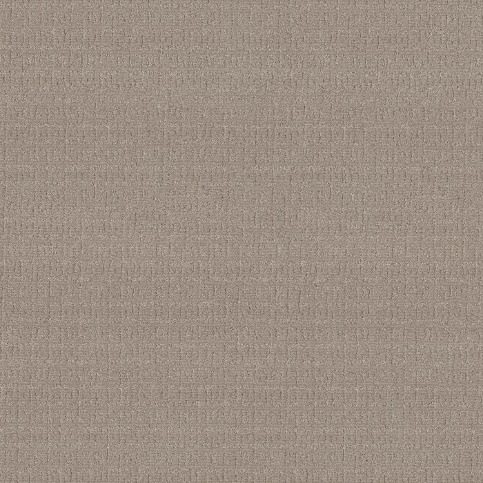 Anderson Tuftex Vignette Greige Carpet - ZZ330-00511