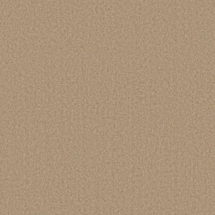 Anderson Tuftex Finesse Sunwashed Carpet - ZZ343-00102