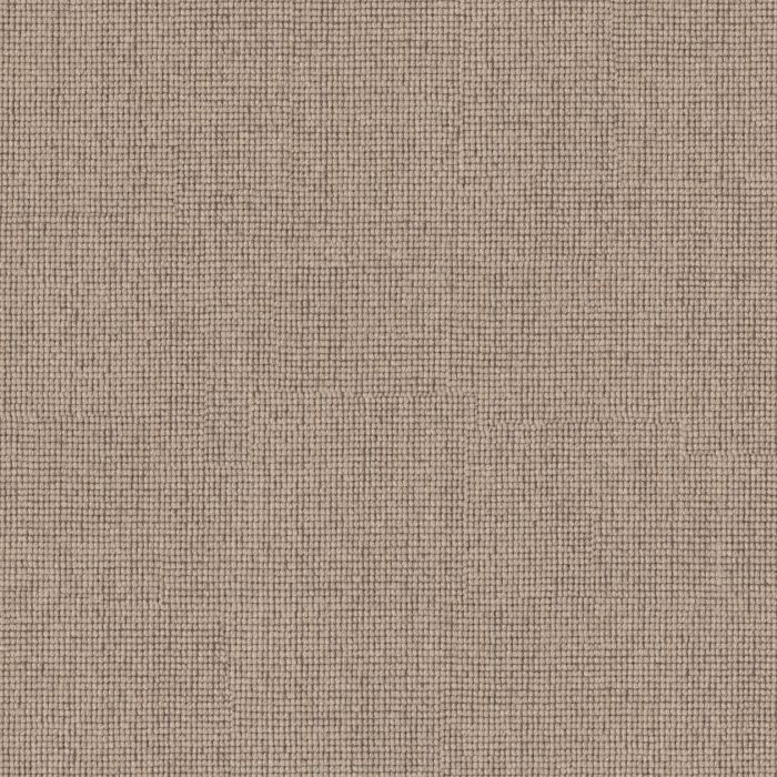 Anderson Tuftex Touchstone Rugged Carpet - ZZ344-00701