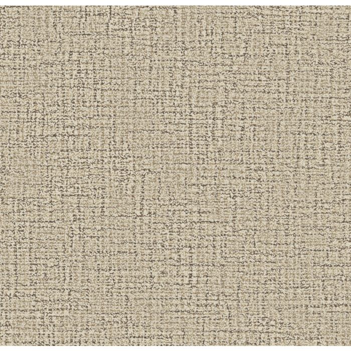 Anderson Tuftex Haptic Valley Carpet - ZZ349-00100