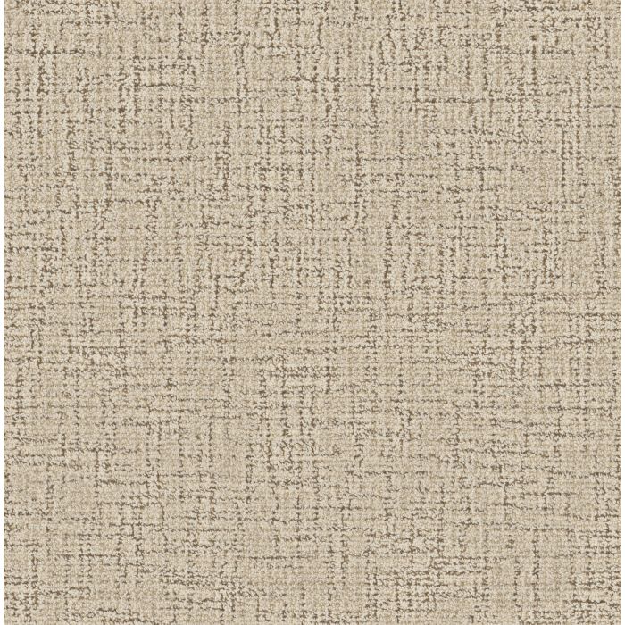 Anderson Tuftex Haptic Woodland Carpet - ZZ349-00101
