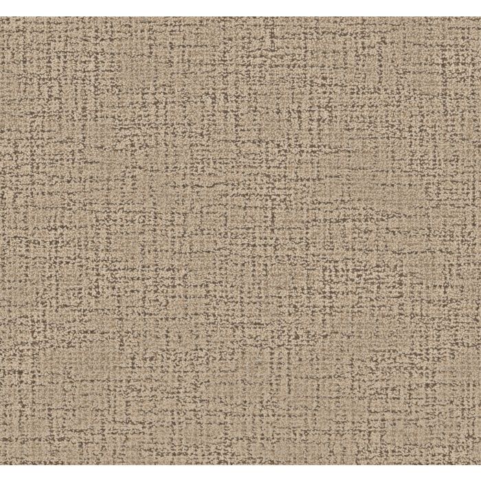 Anderson Tuftex Haptic Trail Carpet - ZZ349-00103