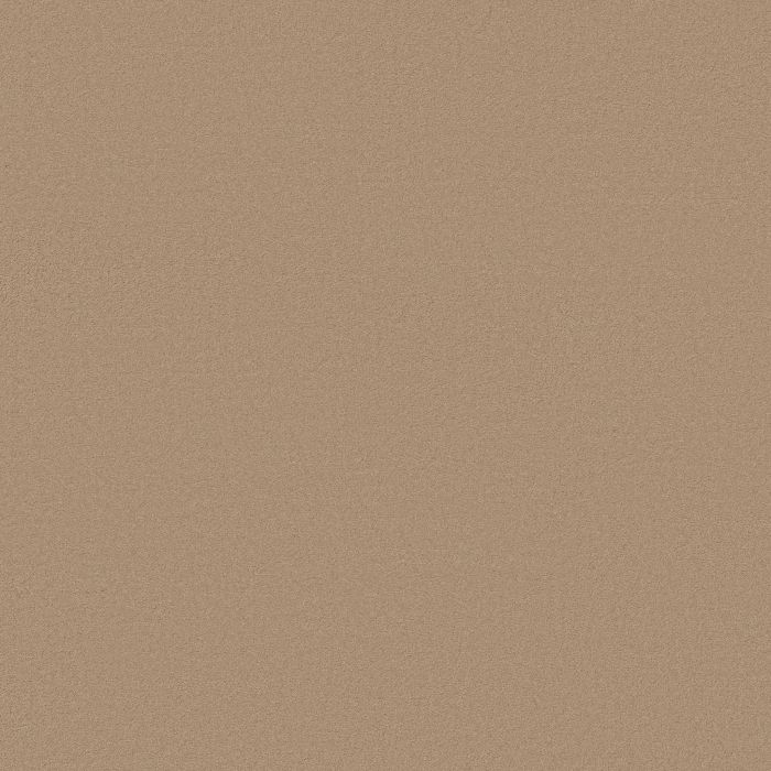 Anderson Tuftex Finery Cork Carpet - ZZ351-00114