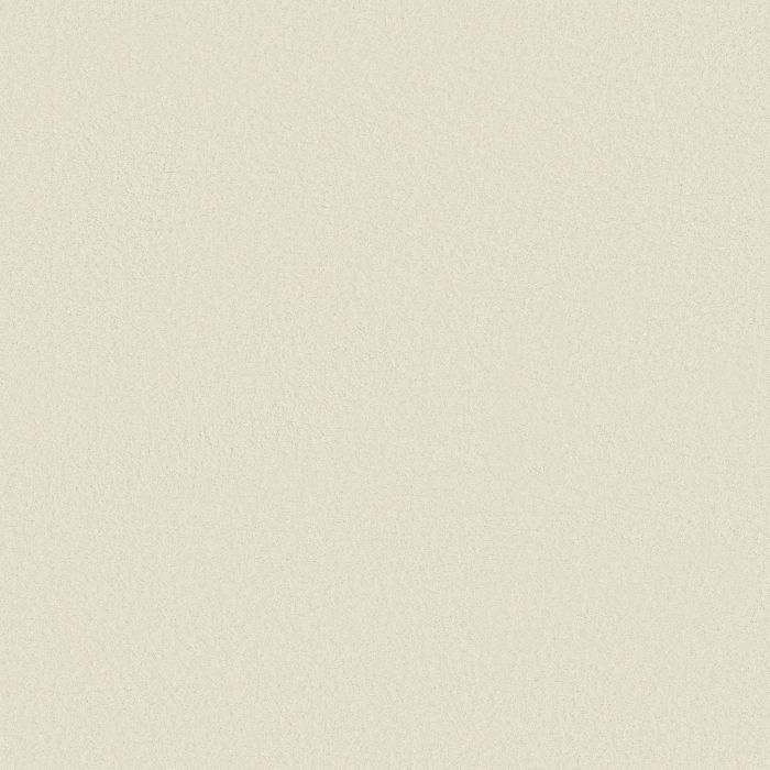 Anderson Tuftex Finery Cotton Carpet - ZZ351-00151