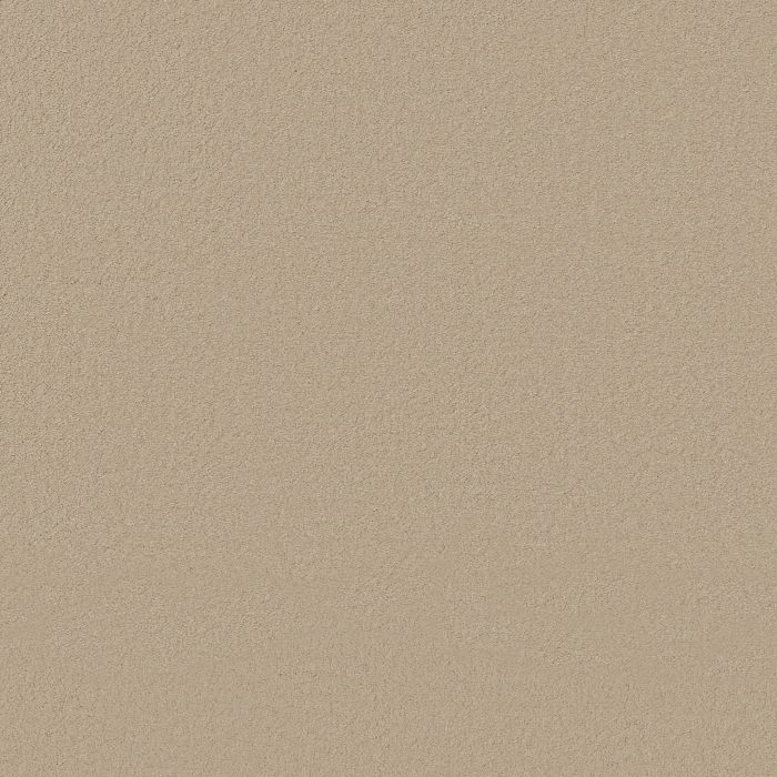 Anderson Tuftex Finery Cake Batter Carpet - ZZ351-00154