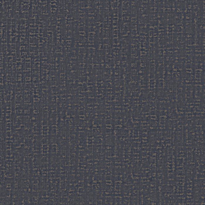 Anderson Tuftex Adair Starry Sky Carpet - ZZ364-00400