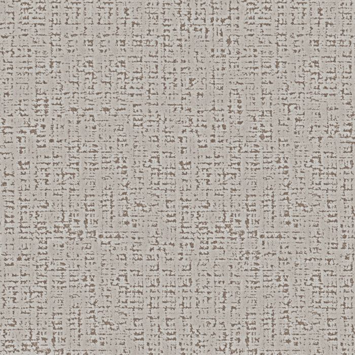 Anderson Tuftex Adair Silver Fox Carpet - ZZ364-00501