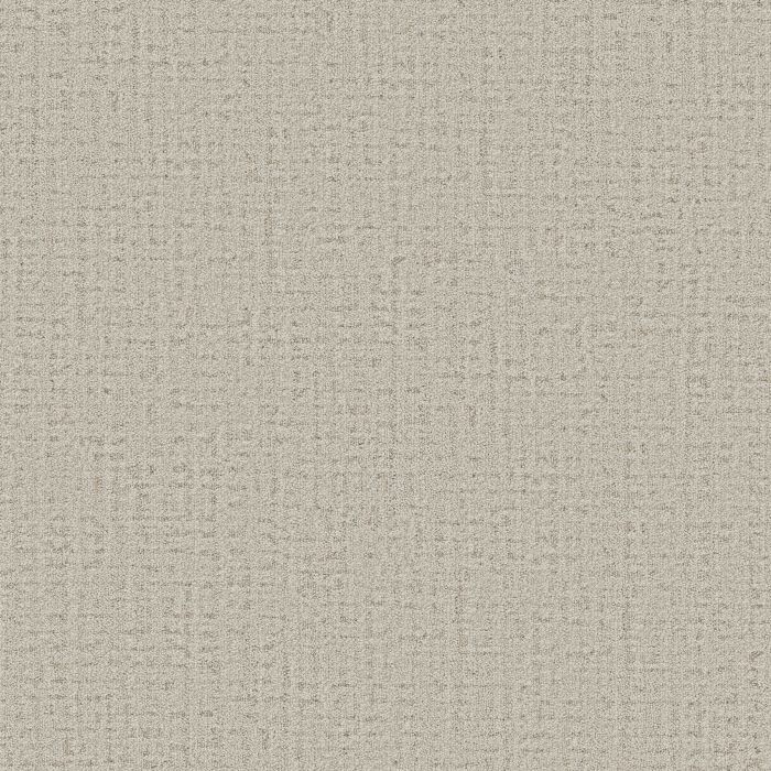 Anderson Tuftex In Step Almond Carpet - ZZ368-00110