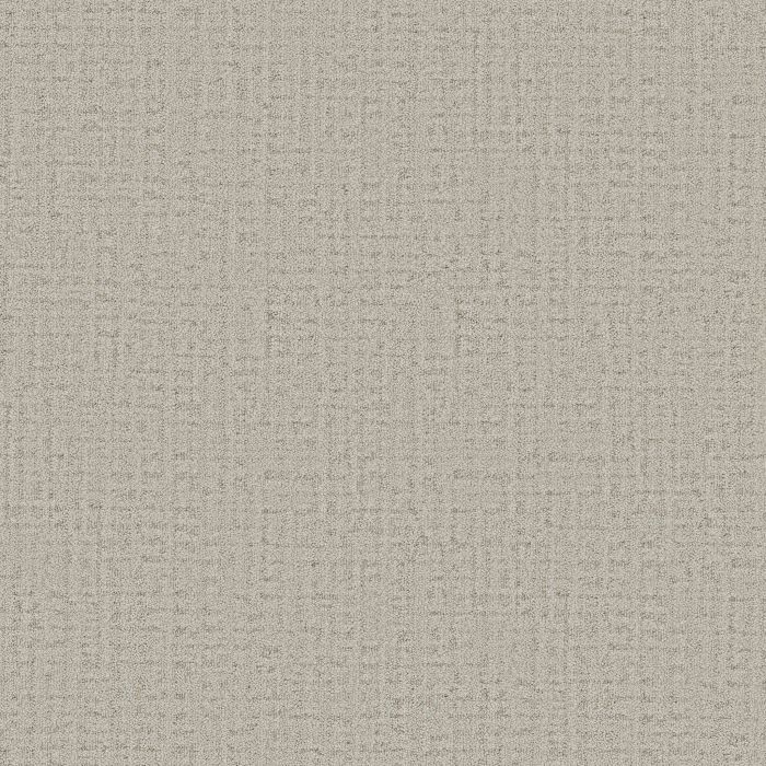 Anderson Tuftex In Step Oatmeal Carpet - ZZ368-00114