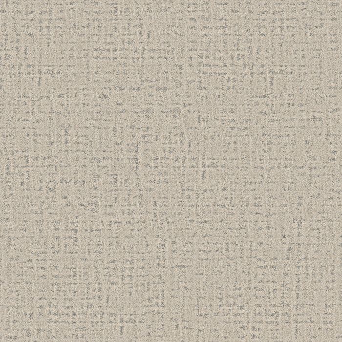 Anderson Tuftex In Step Coastal Carpet - ZZ368-00411