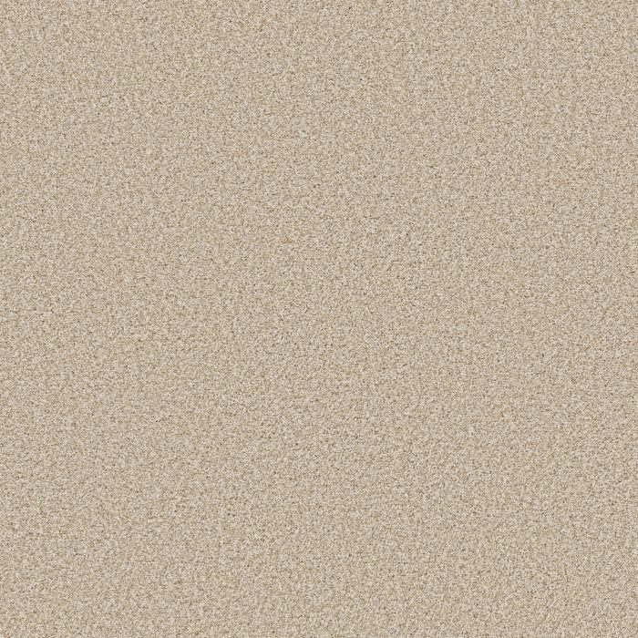 Anderson Tuftex Bella Nova Soft Linen Carpet - ZZ378-00120