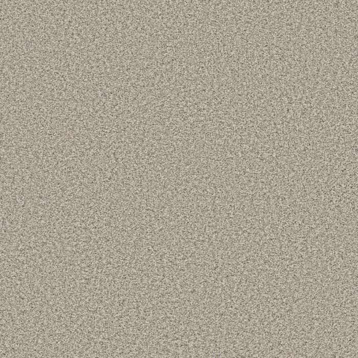Anderson Tuftex Bella Nova Misty Dawn Carpet - ZZ378-00151