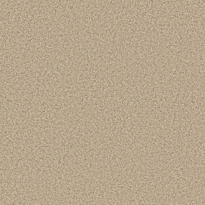 Anderson Tuftex Bella Nova Beach Grass Carpet - ZZ378-00223