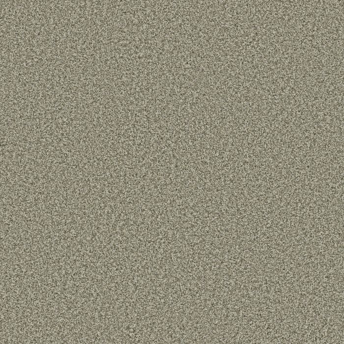 Anderson Tuftex Bella Nova Highlands Carpet - ZZ378-00310