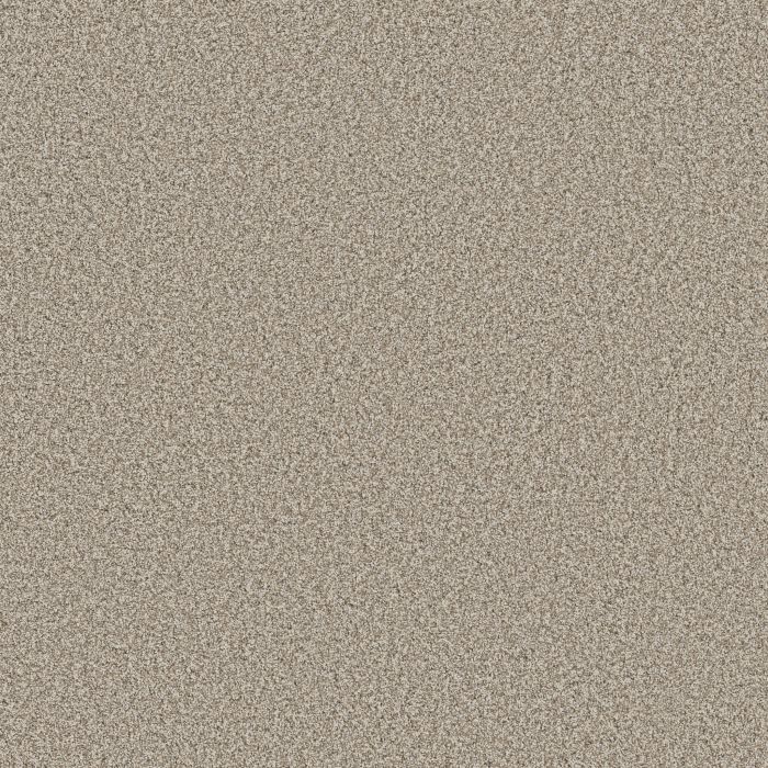 Anderson Tuftex Bella Nova Cabana Carpet - ZZ378-00710