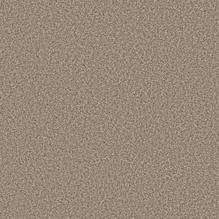 Anderson Tuftex Bella Nova Pashmina Carpet - ZZ378-00754