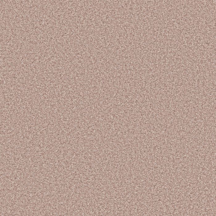 Anderson Tuftex Bella Nova Flora Carpet - ZZ378-00810