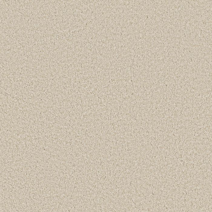 Anderson Tuftex Mira Nova Light Breeze Carpet - ZZ379-00110
