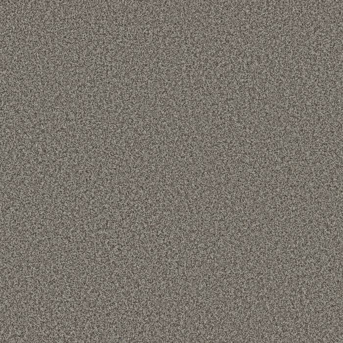 Anderson Tuftex Mira Nova Sable Carpet - ZZ379-00550