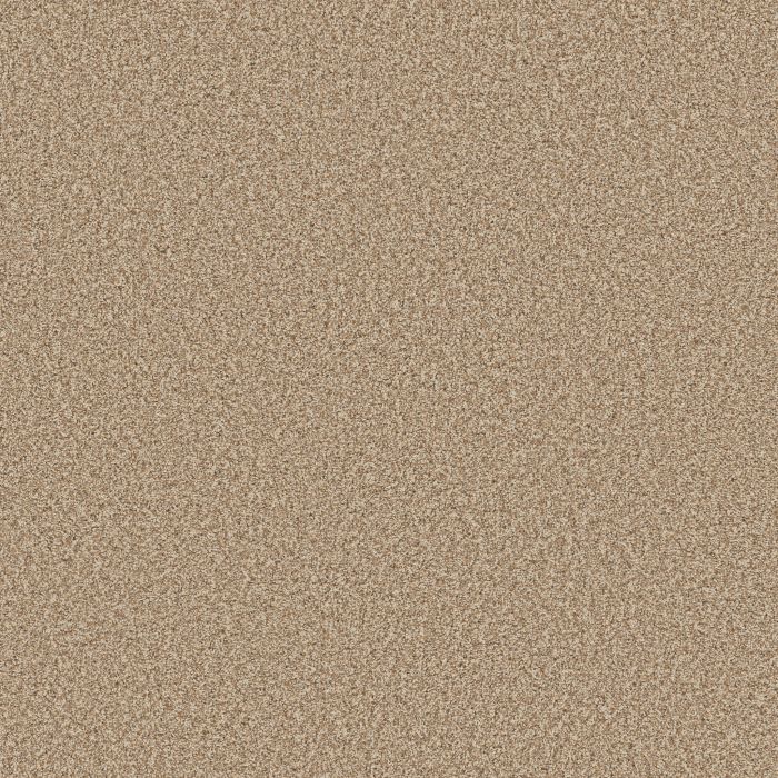 Anderson Tuftex Mira Nova Potter's Clay Carpet - ZZ379-00623