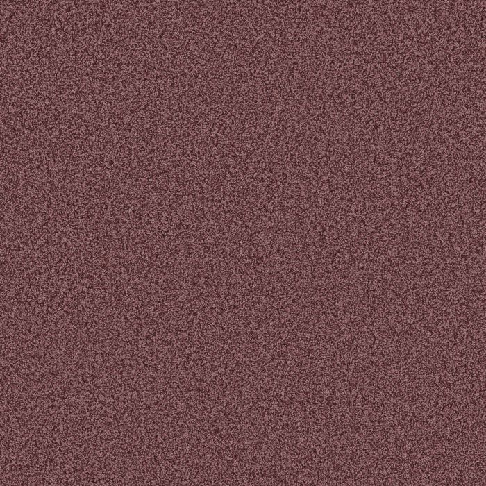 Anderson Tuftex Mira Nova Tuscany Carpet - ZZ379-00870