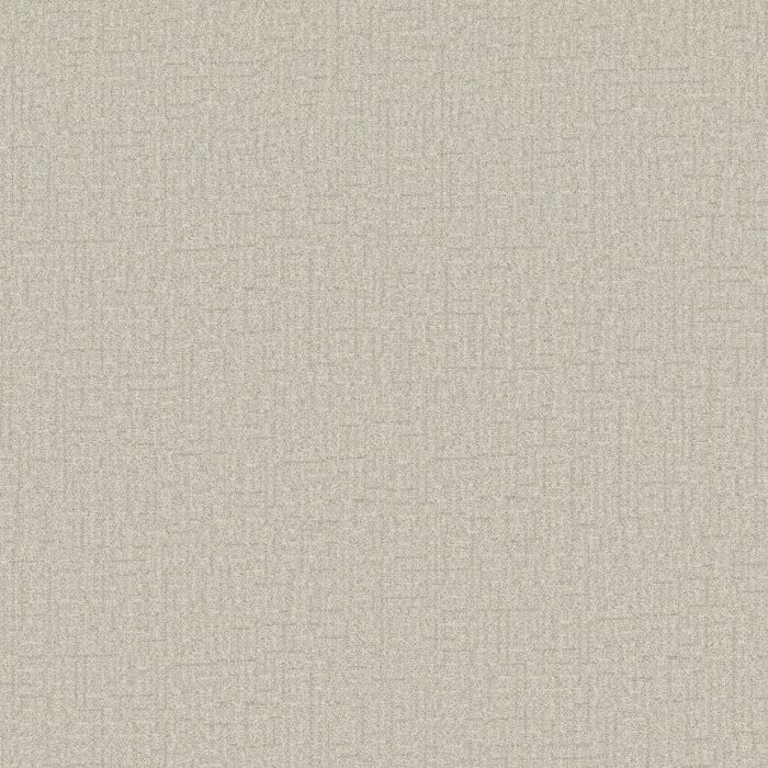 Anderson Tuftex Silhouette Dove Carpet - ZZ392-00100