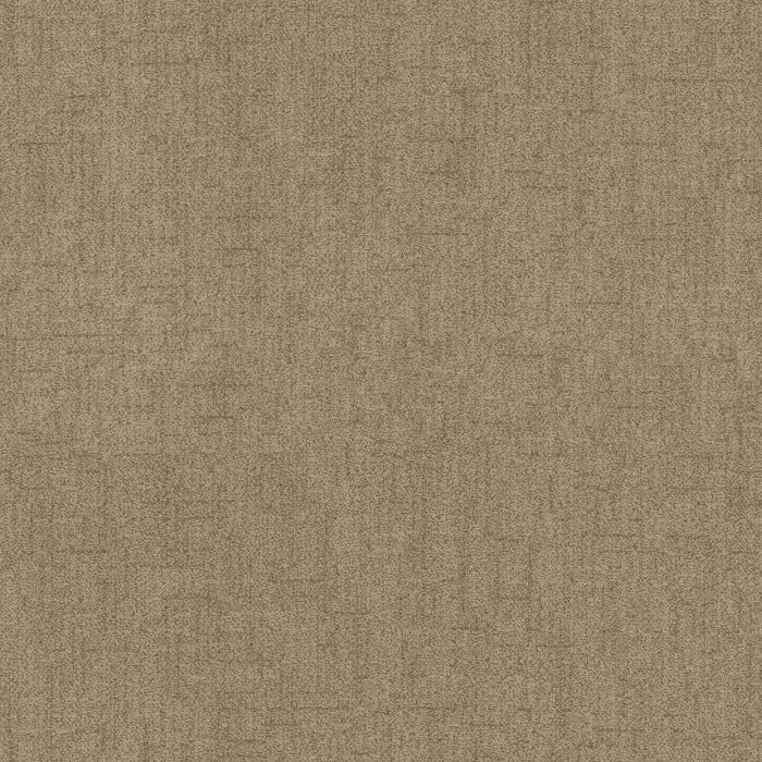 Anderson Tuftex Silhouette Canyon Carpet - ZZ392-00700