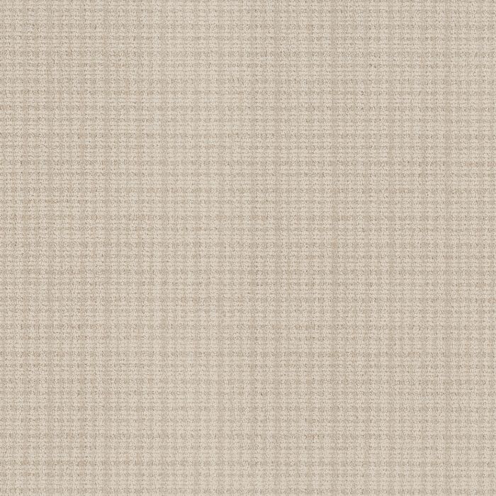 Anderson Tuftex Radiance Parchment Carpet - ZZ393-00102