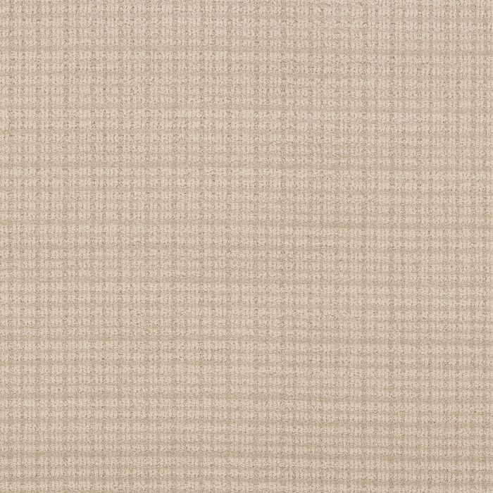 Anderson Tuftex Radiance Ecru Carpet - ZZ393-00103