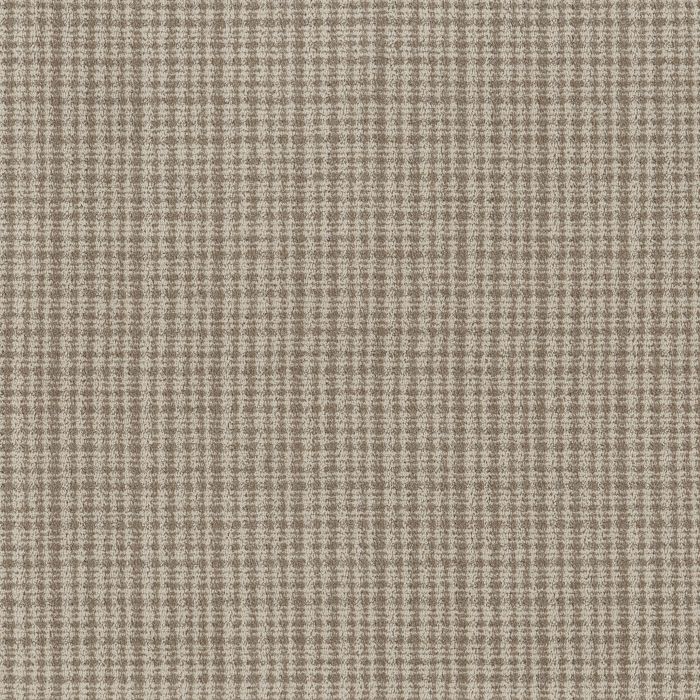 Anderson Tuftex Radiance Barn Owl Carpet - ZZ393-00105