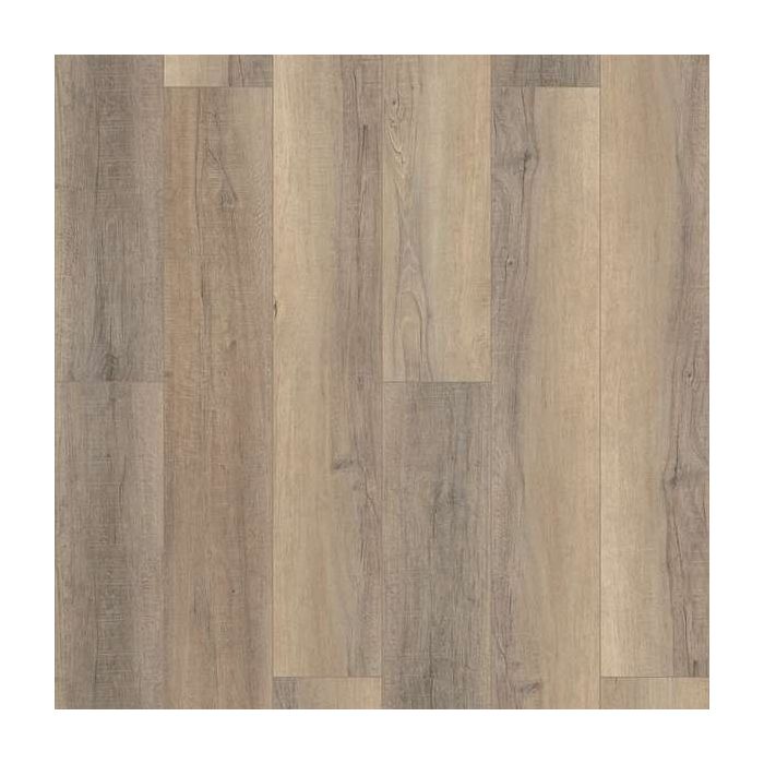 BASTION ELM, 02095, CORETEC PRO PLUS HD 9, VV488