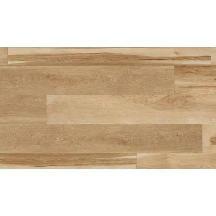 BLENDED PRALINE, 05021, CORETEC PLUS HD, VV704