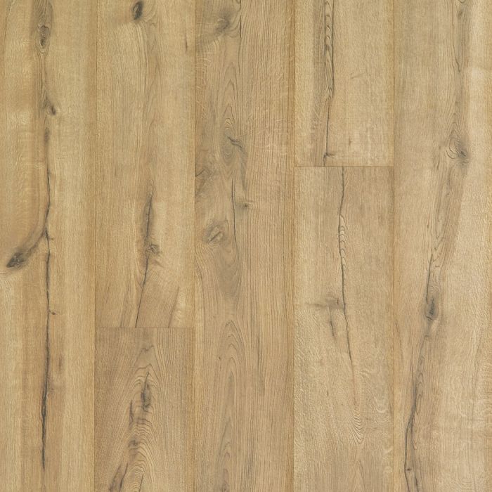 CAVALRY OAK, CDL91-02, CASTLEBRIAR, BY MOHAWK
