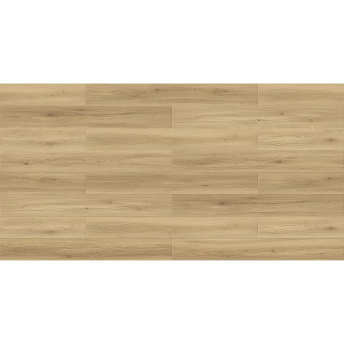 Megaclic Cortessa MCST-2302 — close-up plank, overhead view