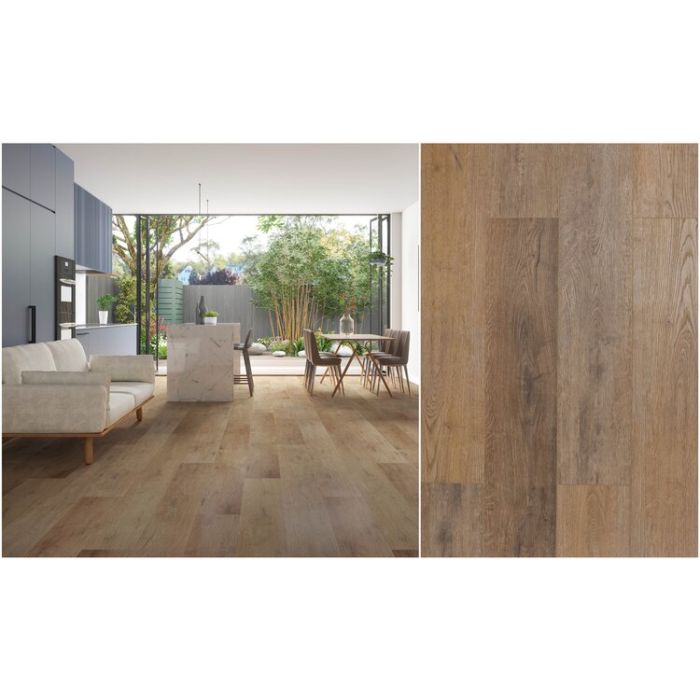 CROWNED HAZEL, MERAKI SPC COLLECTION, MONTSERRAT