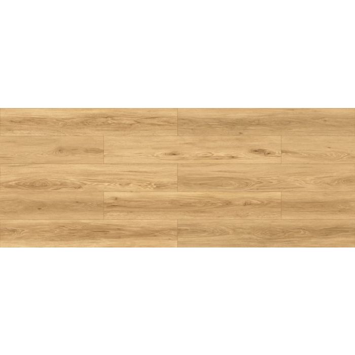 Megaclic Dawson MCDN-8713 — close-up plank, overhead view