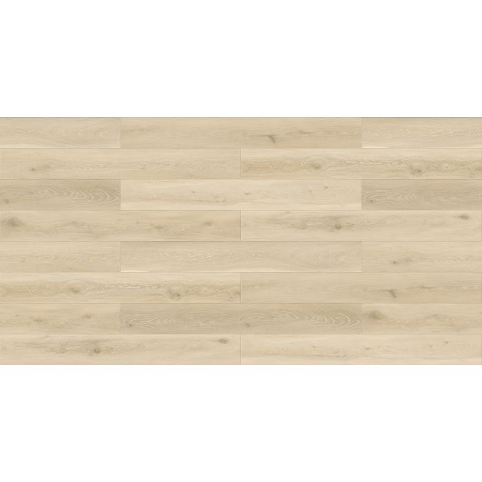 Megaclic Draymont MCST-2308 — close-up plank, overhead view