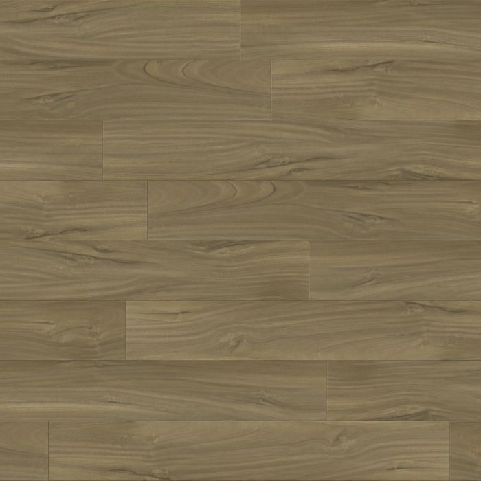 PARADIGM DUCK PPPSPC2034 PERFORMER PLUS COLLECTION