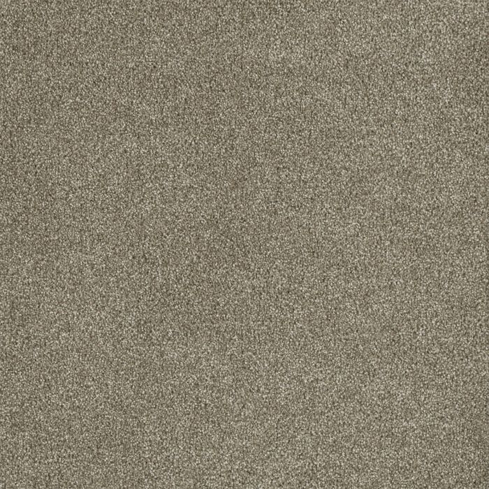 Dreamweaver Malibu II Garden Rock Carpet - DW-3750-294