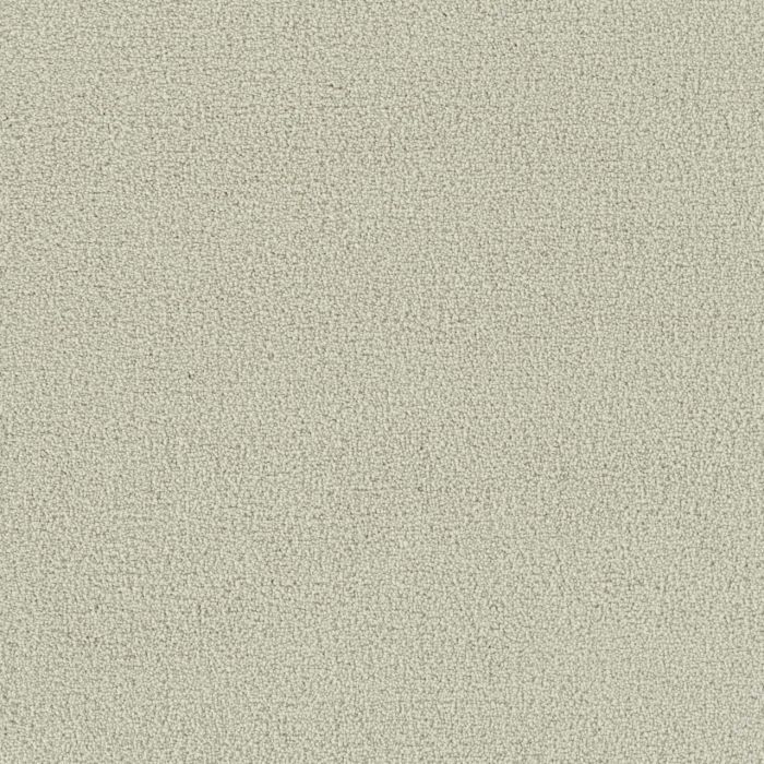 Dreamweaver Foxwood III Snowbird Carpet - DW-5066-944