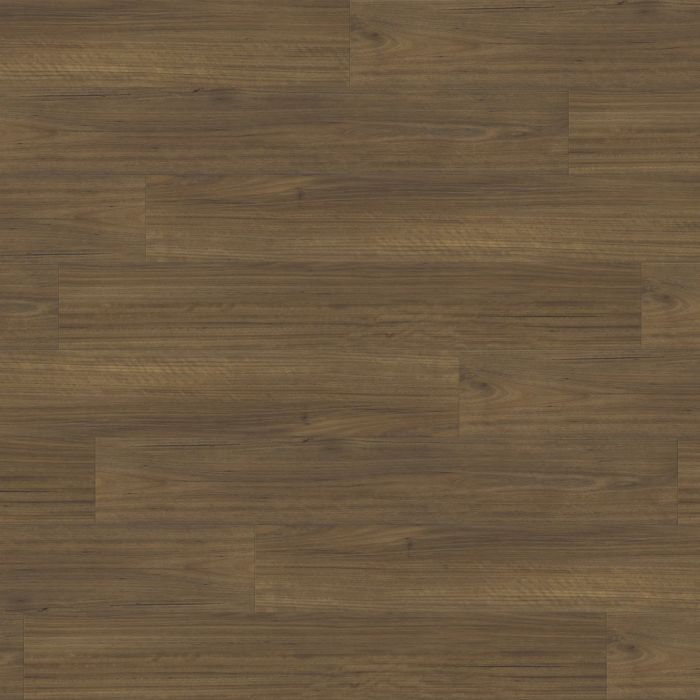 PARADIGM FINCH PPPSPC2021 PERFORMER PLUS COLLECTION